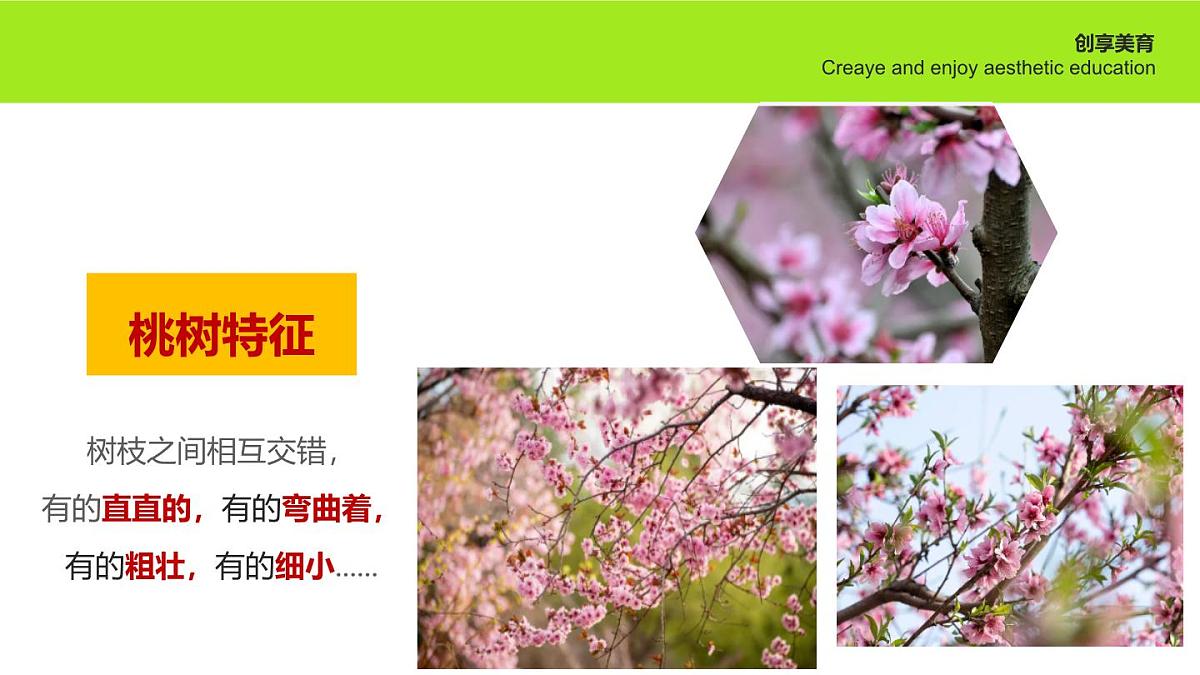 学前教育大班《四月桃花》课件第8页