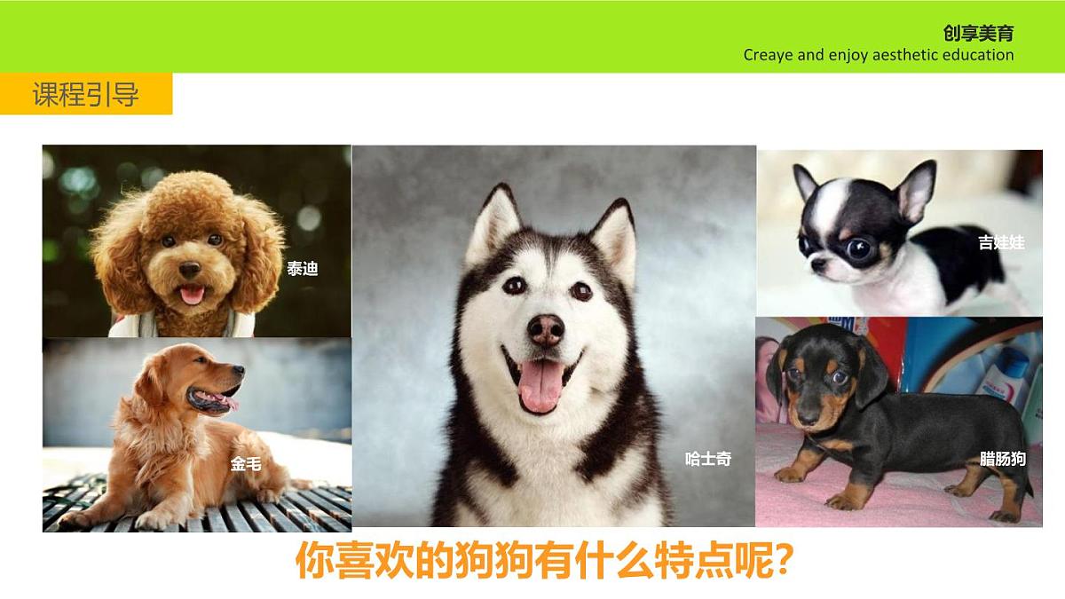 学前教育大班《勇敢的狗狗》课件第5页