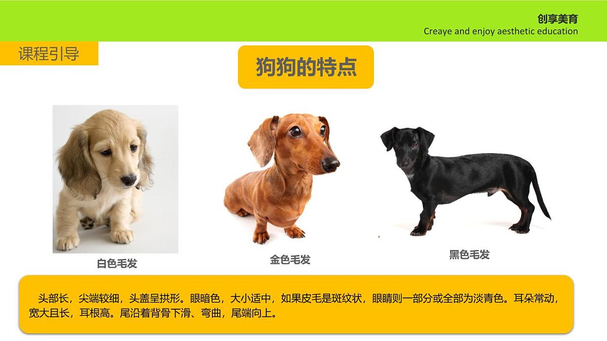 学前教育大班《勇敢的狗狗》课件第6页