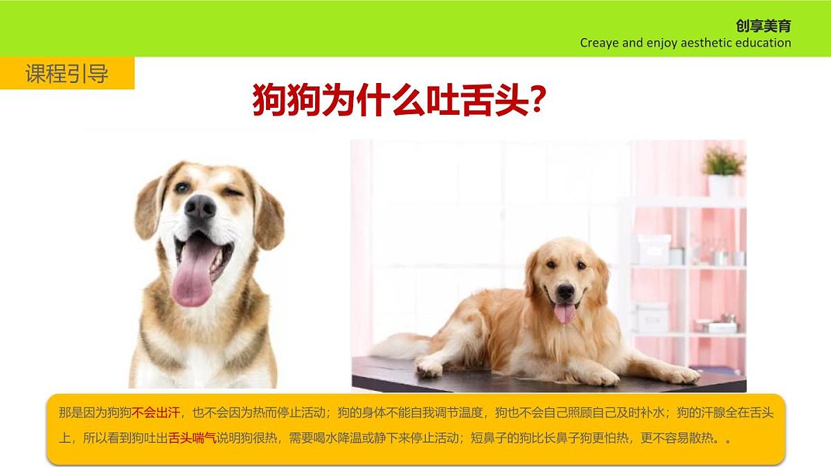 学前教育大班《勇敢的狗狗》课件第7页