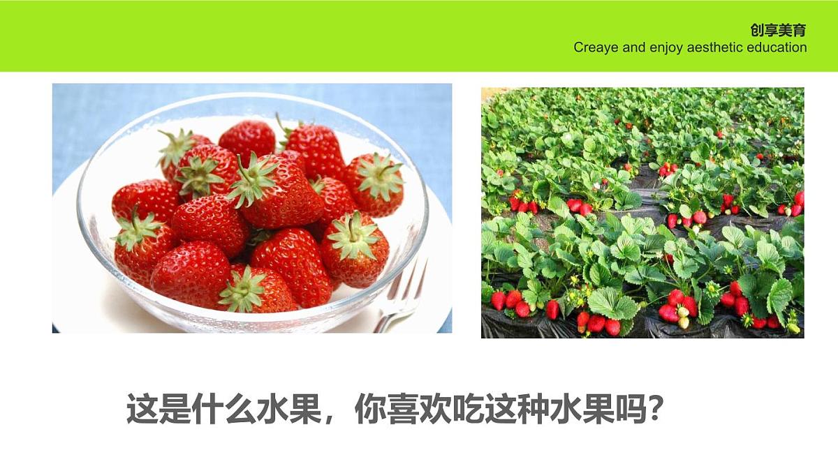 学前教育大班《春光明莓》课件第5页