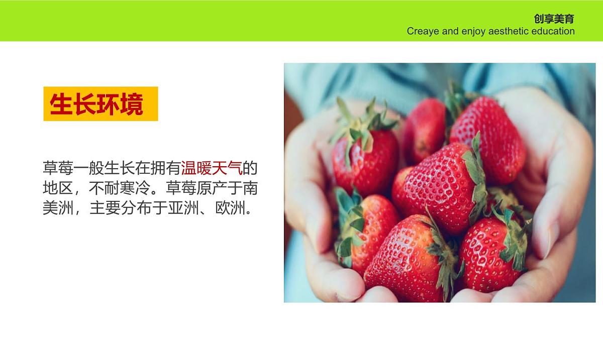 学前教育大班《春光明莓》课件第6页