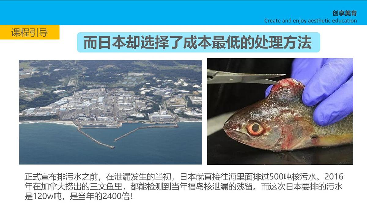 学前教育大班《被污染的鱼》课件第8页