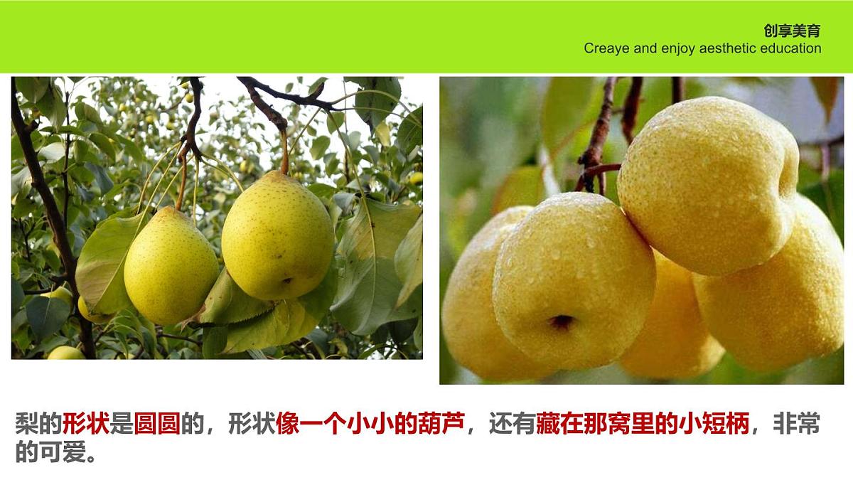 学前教育大班《梨谱》课件第8页