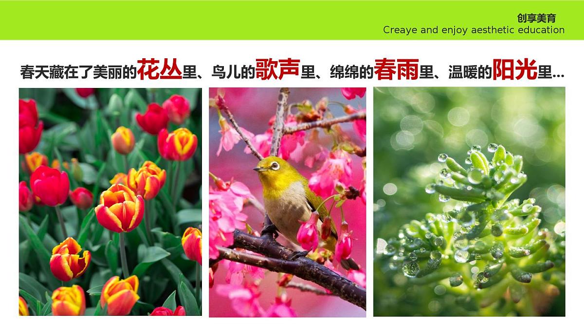 学前教育大班《春暖花开》课件第6页