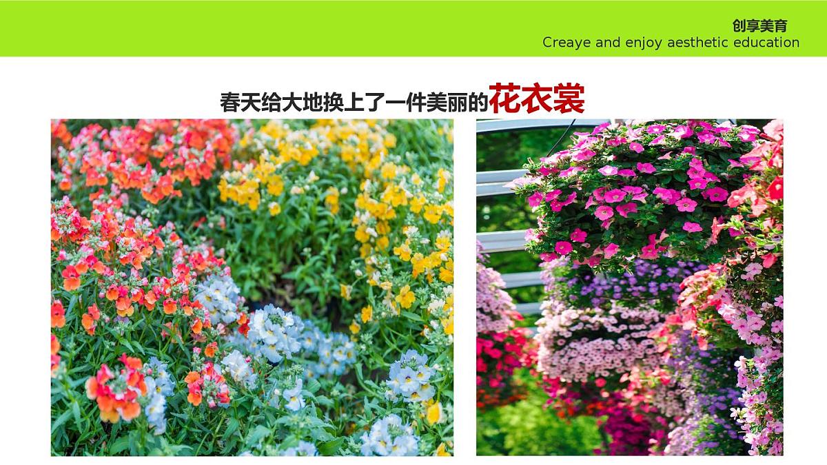 学前教育大班《春暖花开》课件第7页