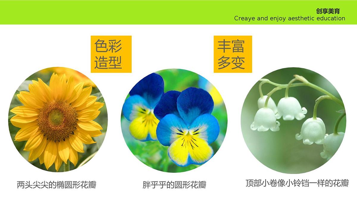 学前教育大班《春暖花开》课件第8页