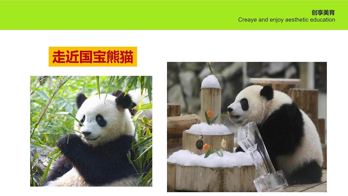 学前教育大班《欢迎回家》课件第5页