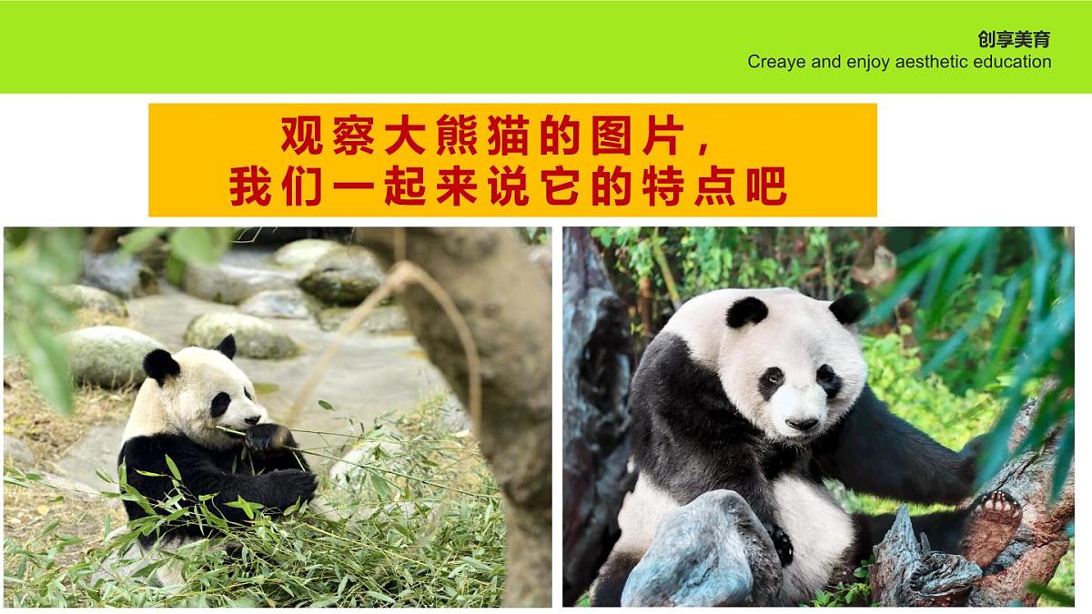 学前教育大班《欢迎回家》课件第6页