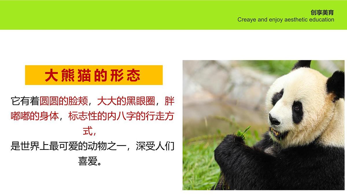 学前教育大班《欢迎回家》课件第7页