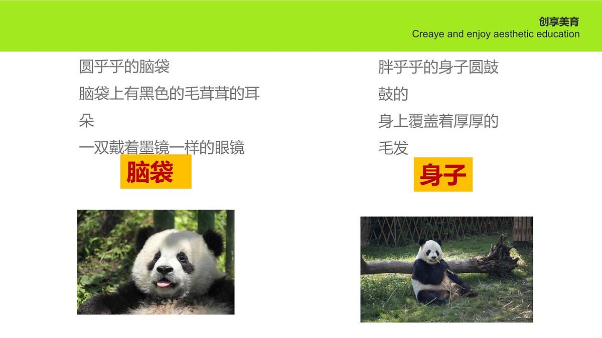 学前教育大班《欢迎回家》课件第8页