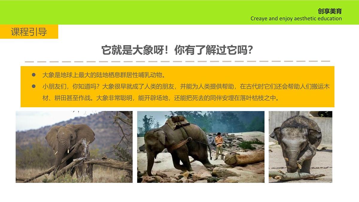 学前教育大班《旅行的大象》课件第5页
