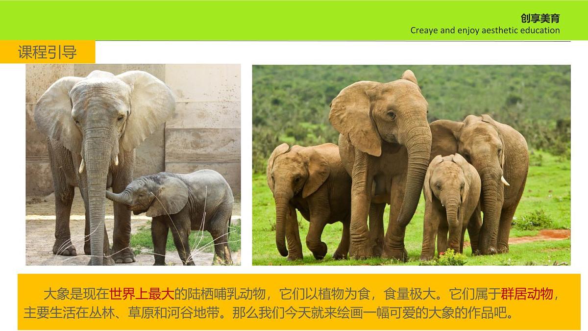 学前教育大班《旅行的大象》课件第6页