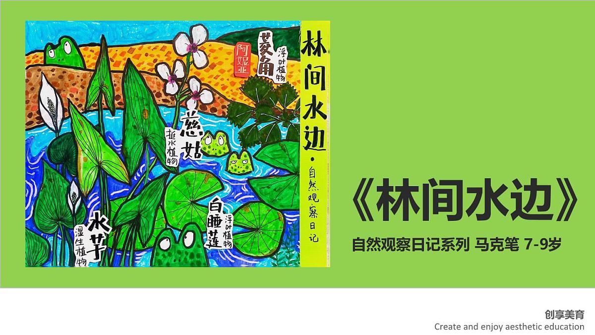 学前教育大班《林间水边》课件第1页