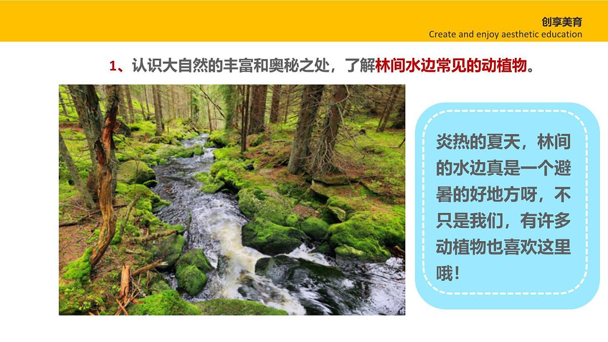 学前教育大班《林间水边》课件第4页