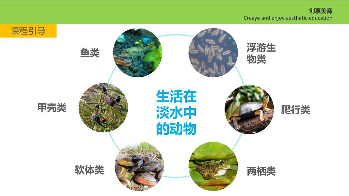 学前教育大班《林间水边》课件第6页