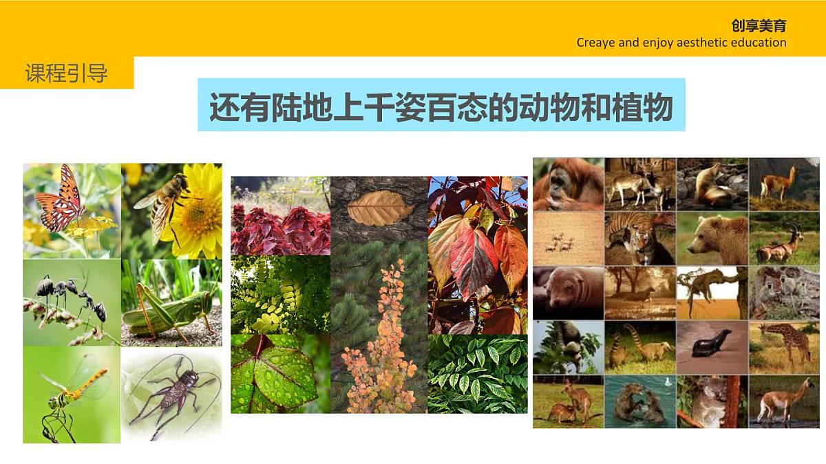 学前教育大班《庞然大物》课件第7页