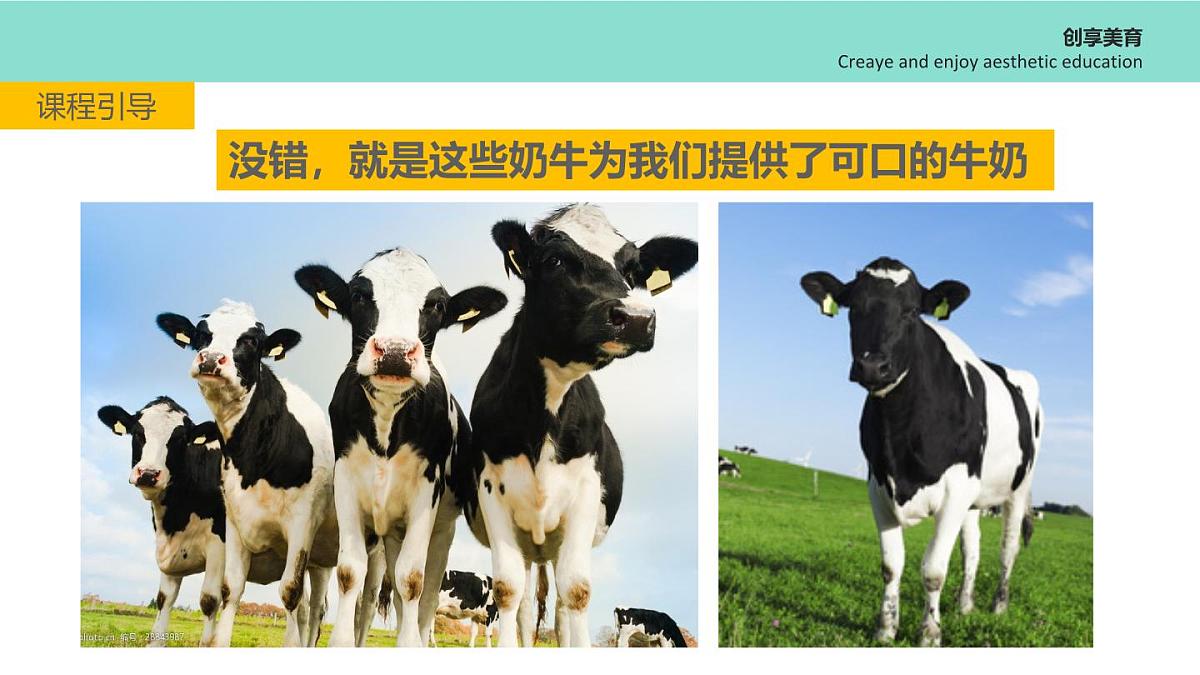 学前教育大班《哺育》课件第6页