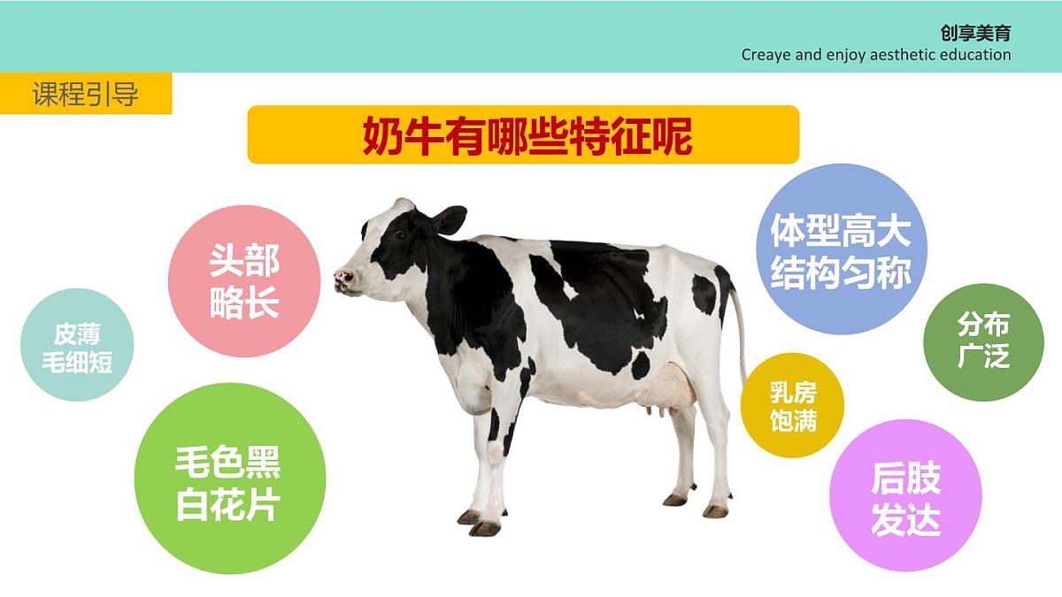 学前教育大班《哺育》课件第7页