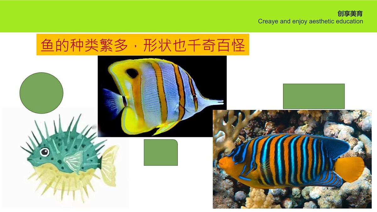 学前教育大班《游鱼》课件第8页
