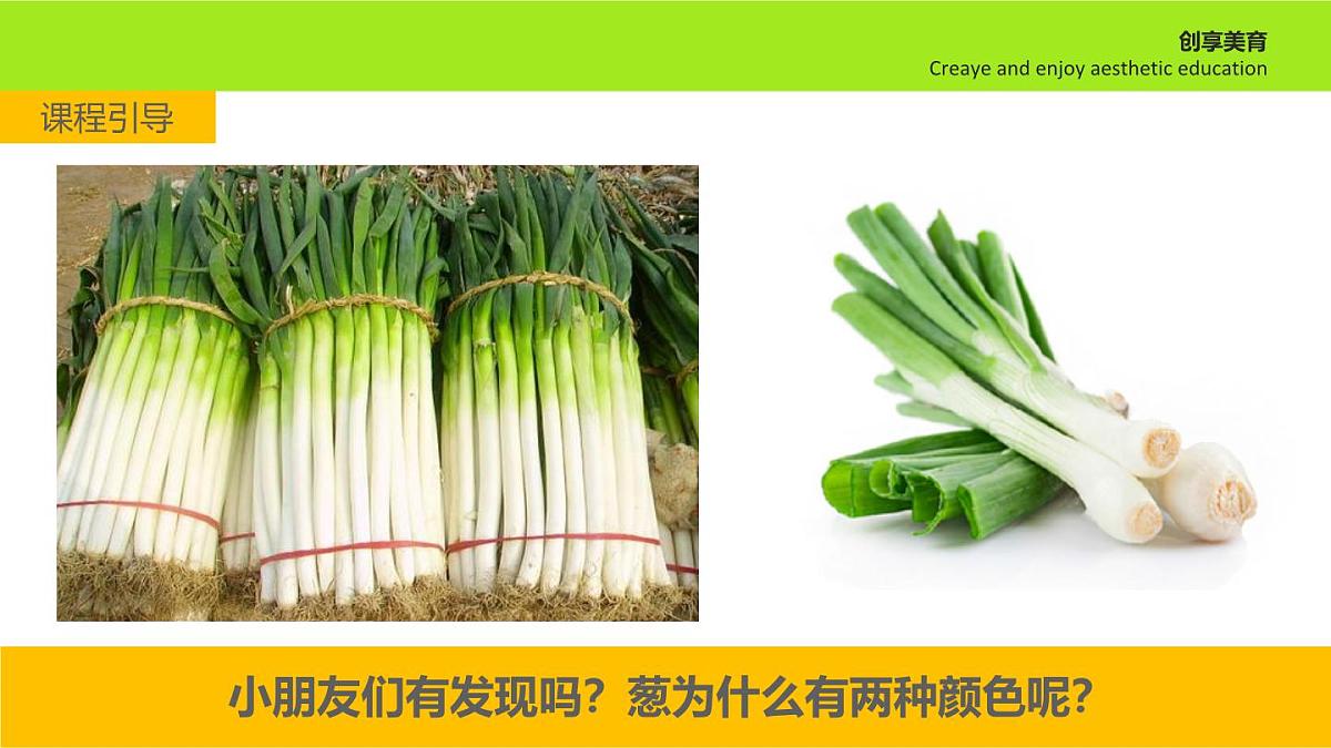 学前教育大班《葱忙长大》课件第5页