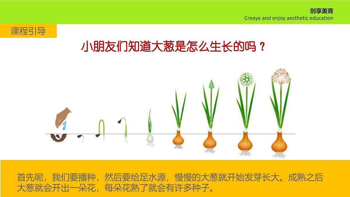 学前教育大班《葱忙长大》课件第7页