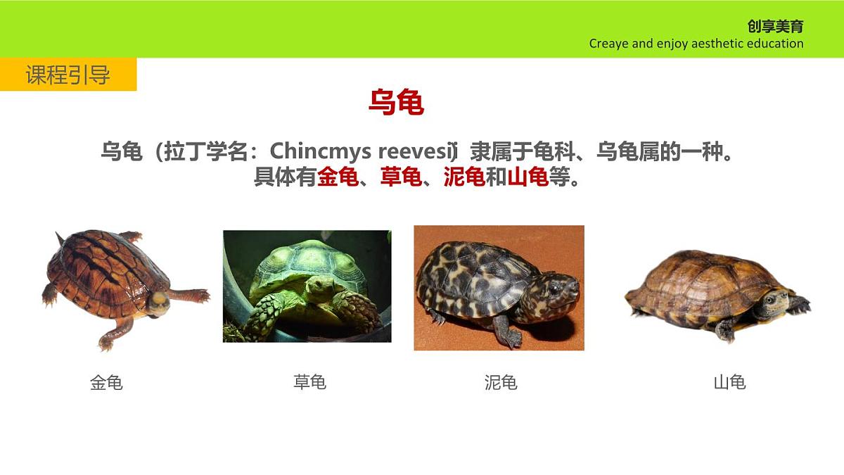 学前教育大班《叠罗汉》课件第4页