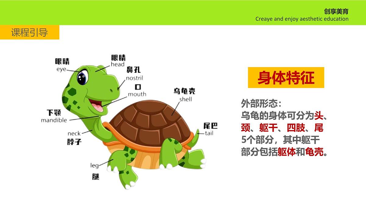 学前教育大班《叠罗汉》课件第5页