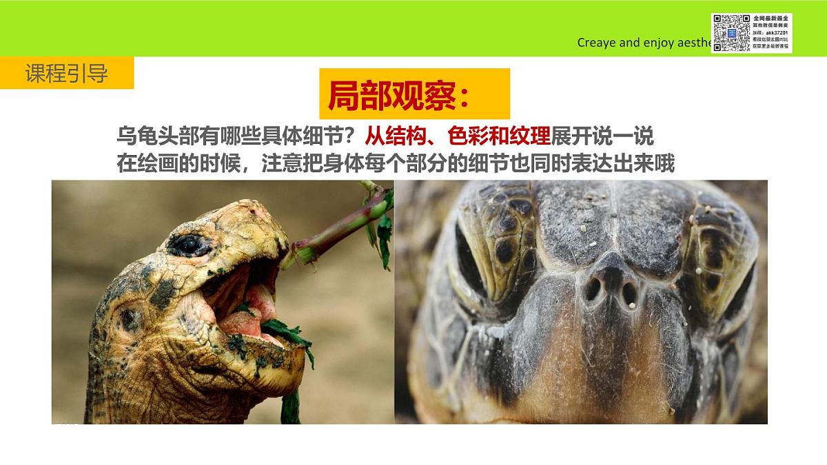 学前教育大班《叠罗汉》课件第6页