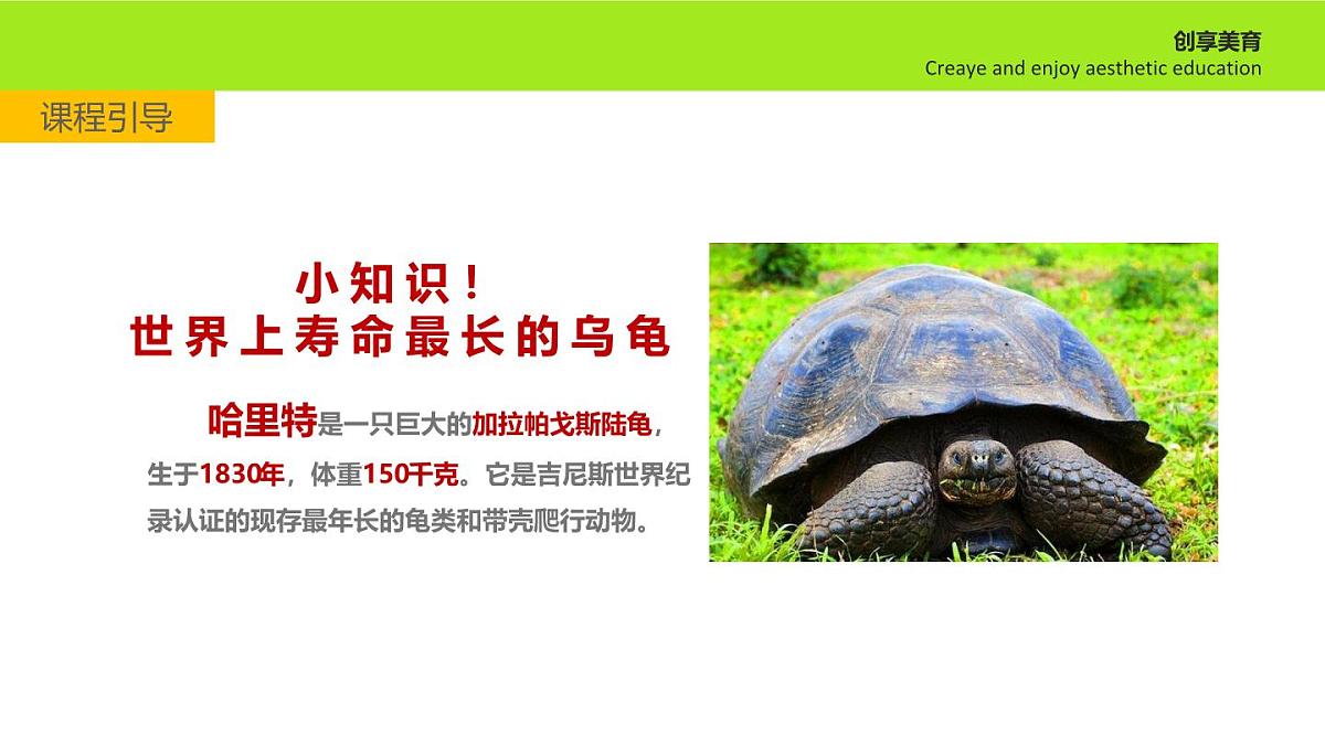 学前教育大班《叠罗汉》课件第7页