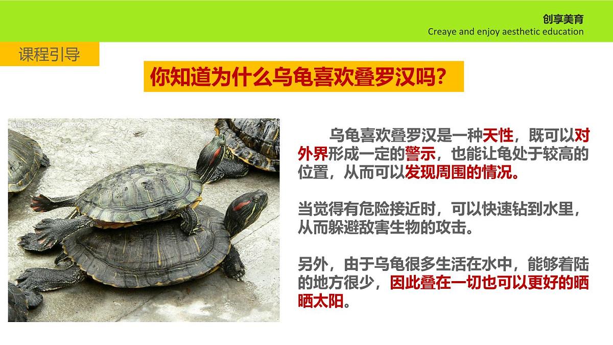 学前教育大班《叠罗汉》课件第8页