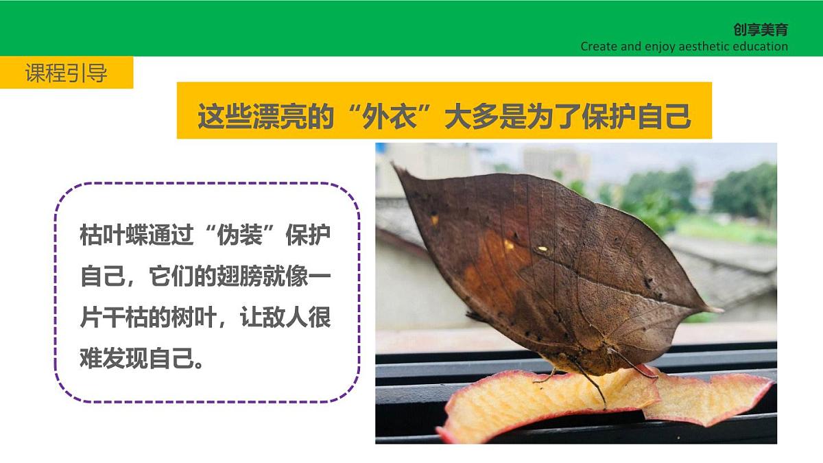 学前教育大班《黑与白的彩色照片》课件第6页