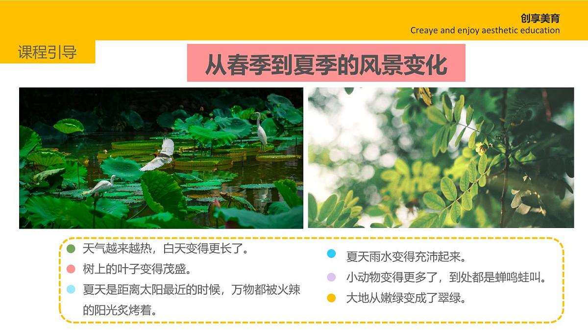 学前教育大班《迁徙》课件第6页