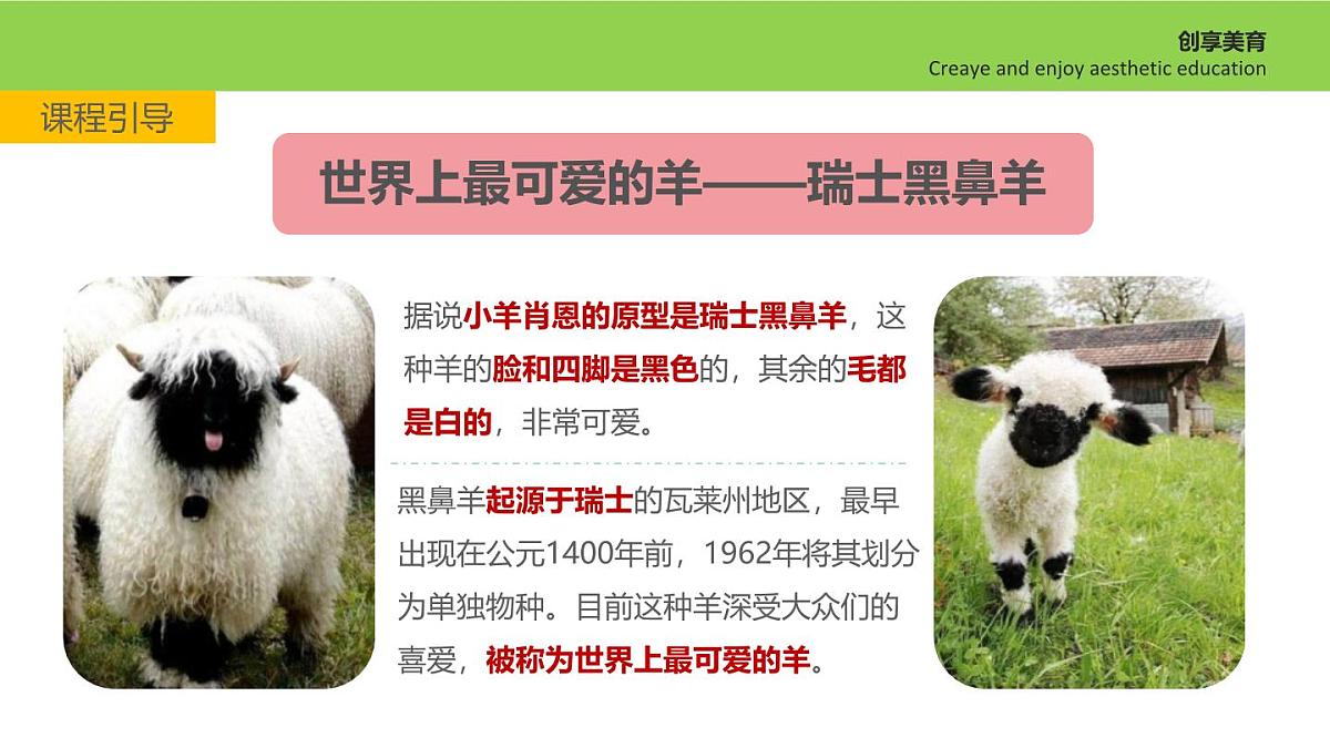 学前教育大班《瑞士黑鼻羊》课件第6页