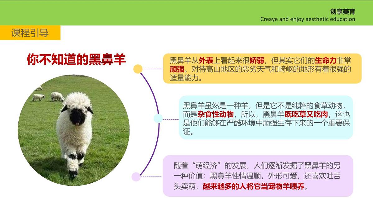 学前教育大班《瑞士黑鼻羊》课件第7页