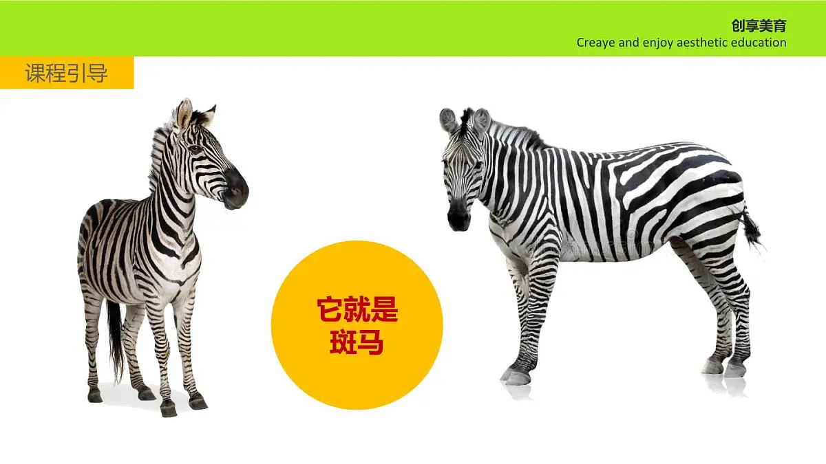 学前教育大班《斑马》课件第5页