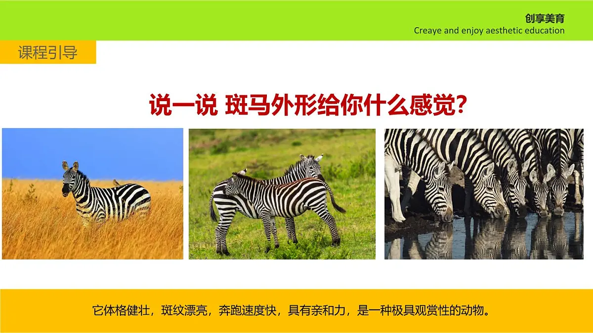学前教育大班《斑马》课件第6页