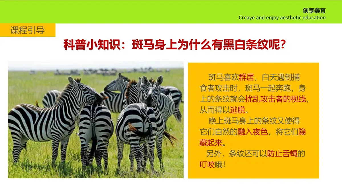 学前教育大班《斑马》课件第7页