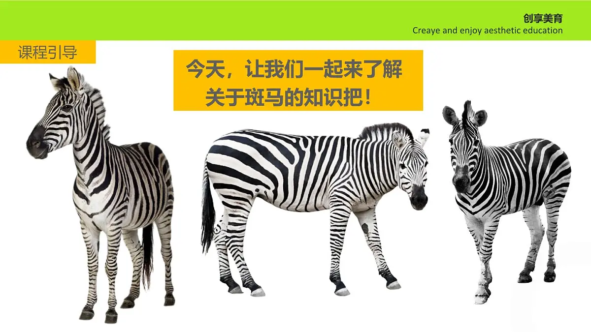 学前教育大班《斑马》课件第8页