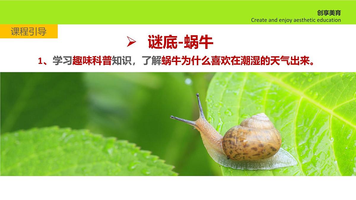 学前教育大班《散步的蜗牛》课件第5页