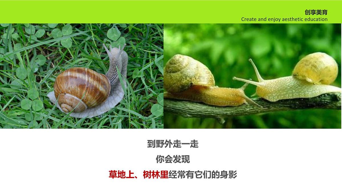 学前教育大班《散步的蜗牛》课件第6页