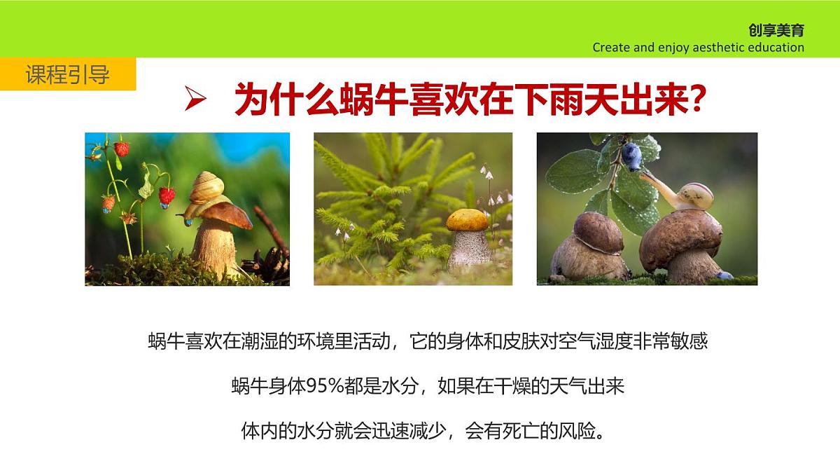 学前教育大班《散步的蜗牛》课件第8页
