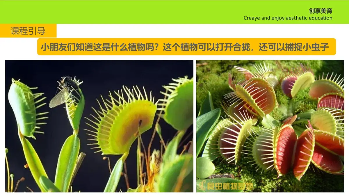 学前教育大班《无处可逃》课件第4页