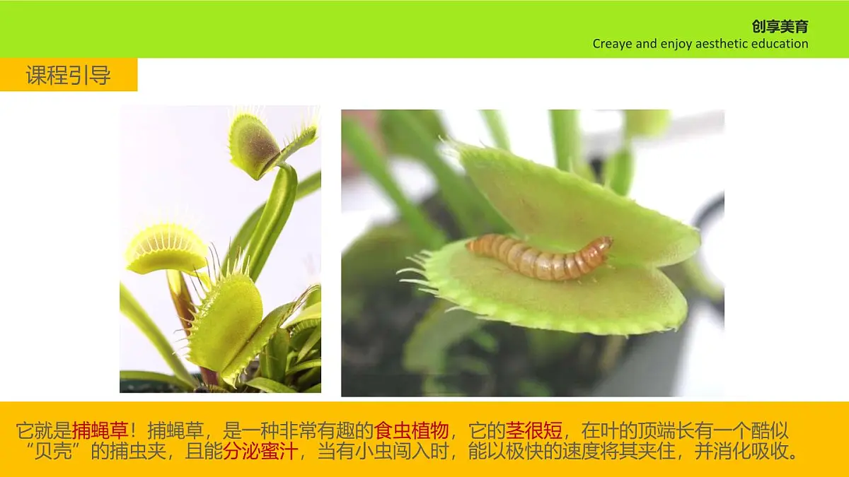 学前教育大班《无处可逃》课件第5页