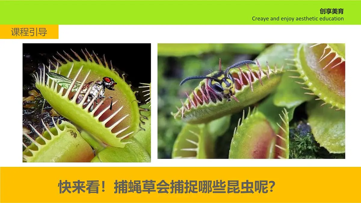 学前教育大班《无处可逃》课件第6页