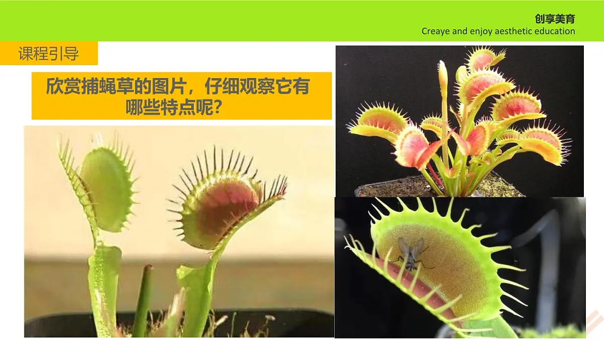 学前教育大班《无处可逃》课件第7页