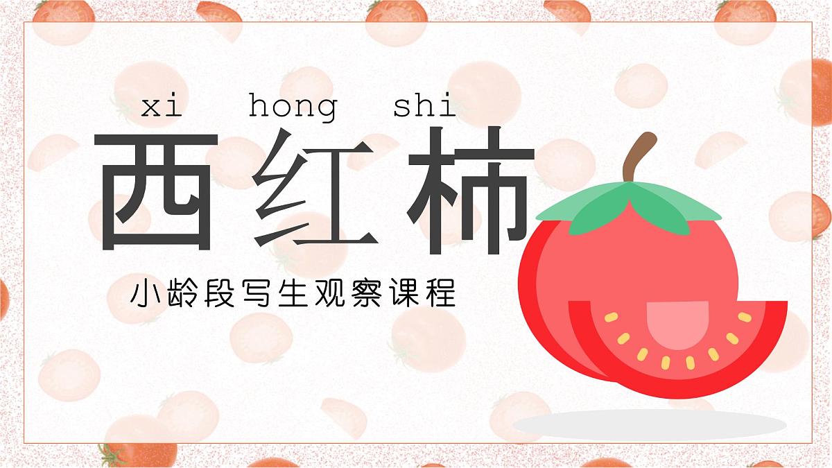 学前教育大班《西红柿..》课件第1页