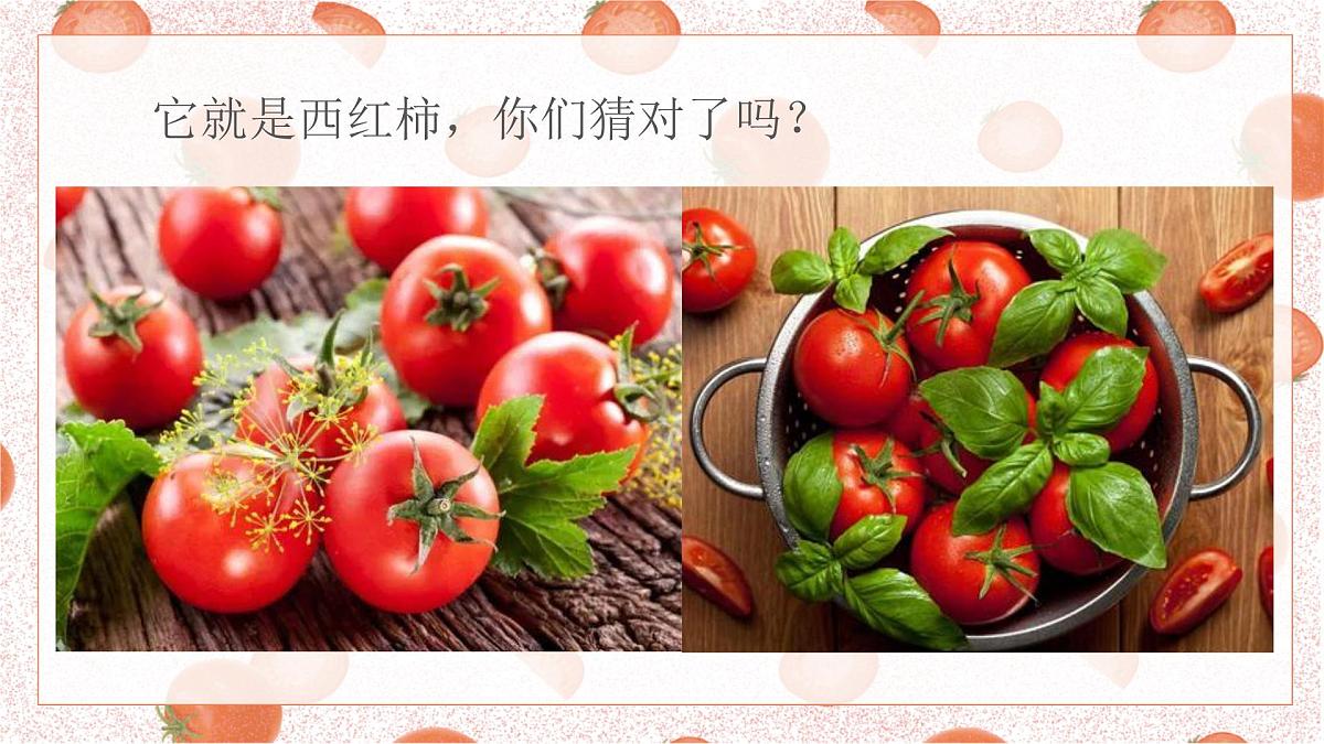 学前教育大班《西红柿..》课件第6页