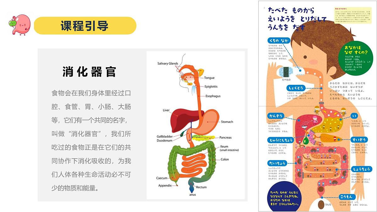 学前教育大班《超级大胃王》课件第6页