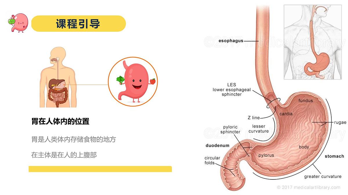 学前教育大班《超级大胃王》课件第8页
